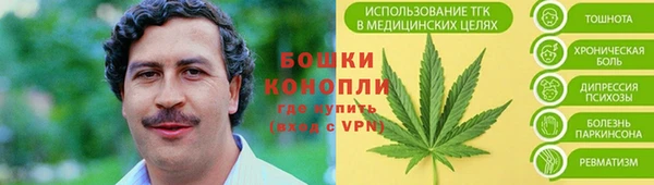 первитин Арсеньев