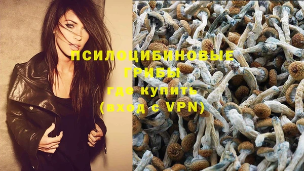 первитин Арсеньев