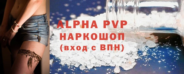 PSILOCYBIN Аркадак