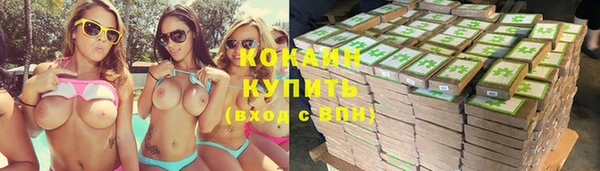 PSILOCYBIN Аркадак