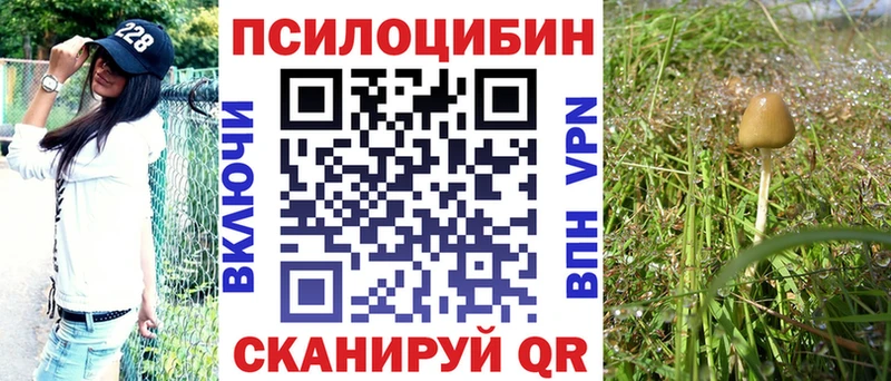 Псилоцибиновые грибы Magic Shrooms  Отрадный 